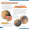 Телескоп LEVENHUK DISCOVERY SKY TRIP ST50 с книгой 77864